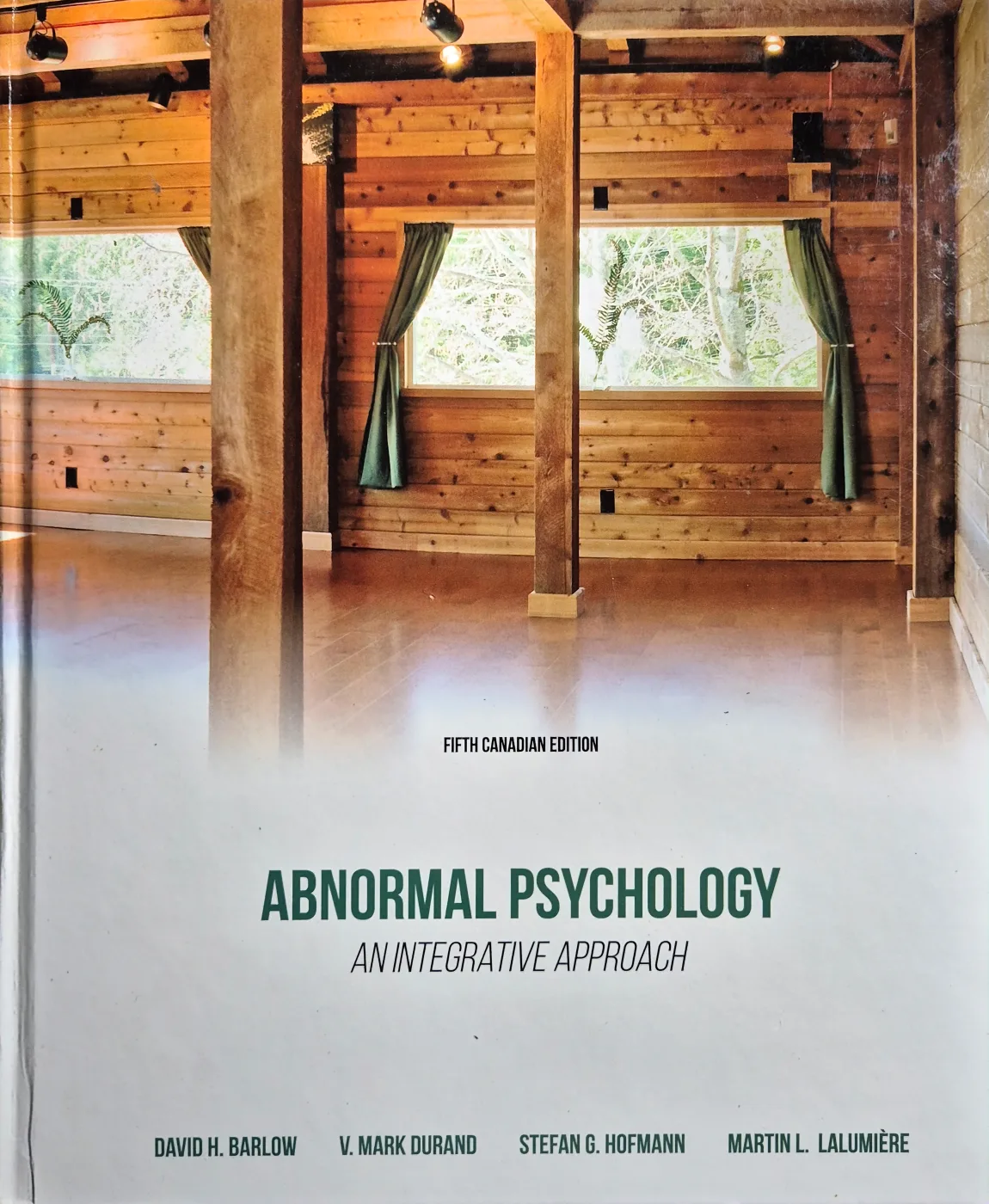 Abnormal Psychology: An Integrative Approach thumbnail