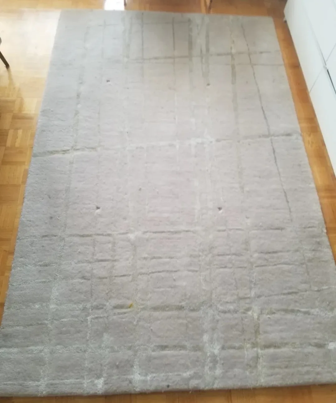 Used Beige Area Rug 5 x 8 thumbnail