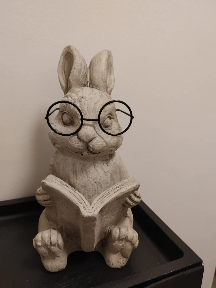 Stone Rabbit Reading Book with Glasses thumbnail