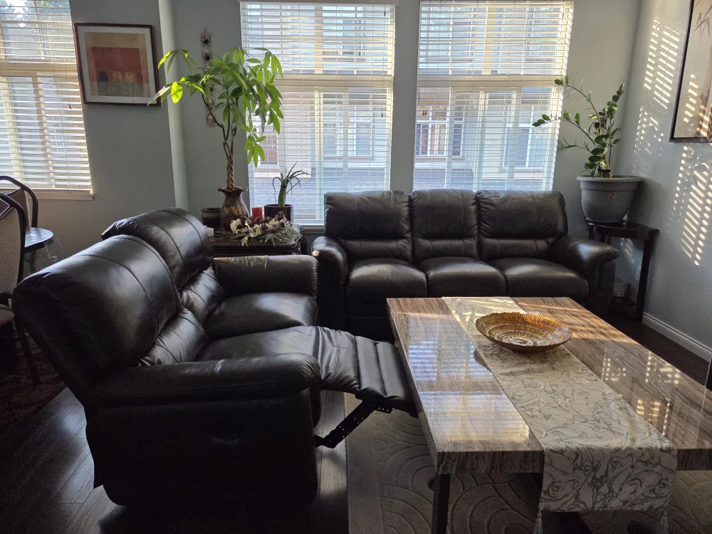 Leather Reclining Sofa and Loveseat Set thumbnail