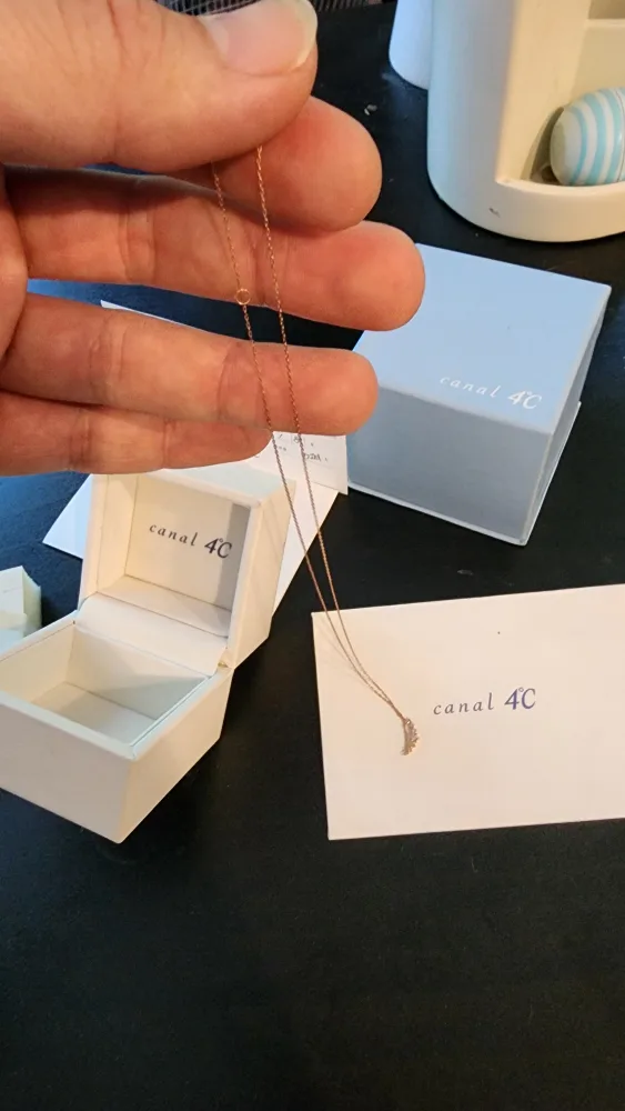 Canal 4℃ K10 Rose Gold Necklace with Diamonds image indicator(5)