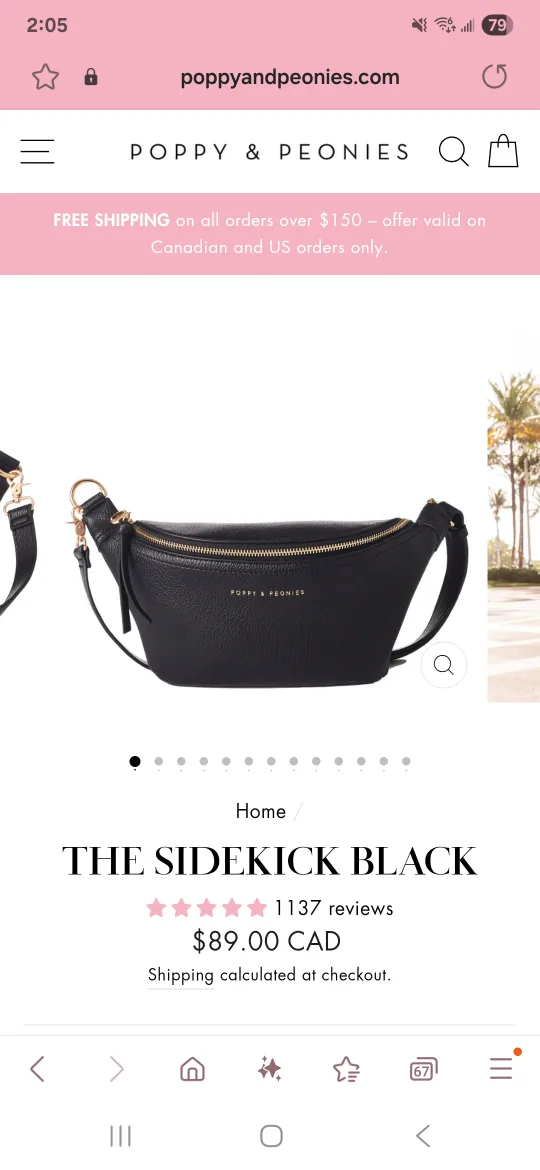 Poppy & Peonies The Sidekick Black Belt Bag thumbnail