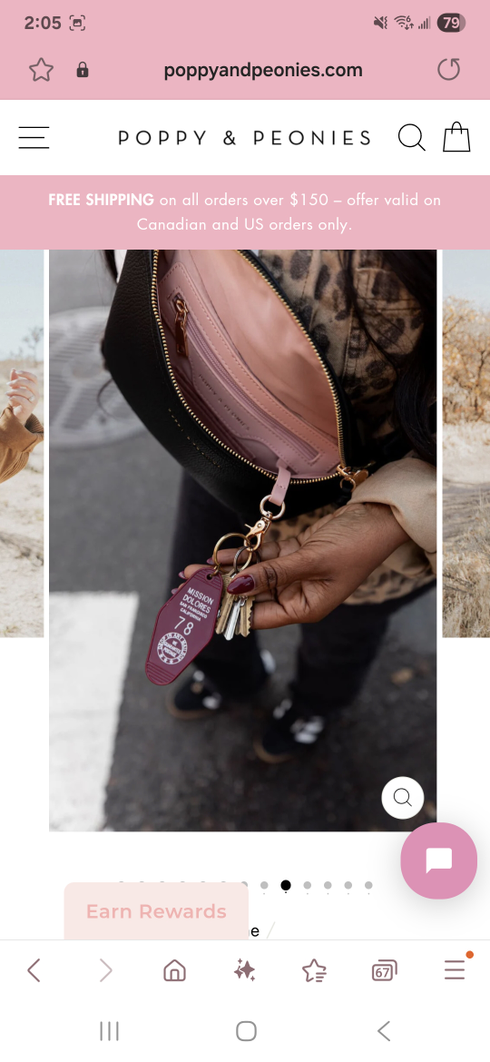 Poppy & Peonies The Sidekick Black Belt Bag - photo 2