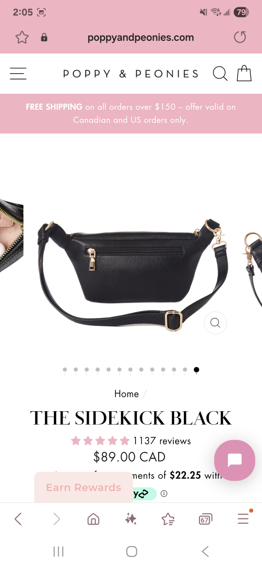 Poppy & Peonies The Sidekick Black Belt Bag - photo 3