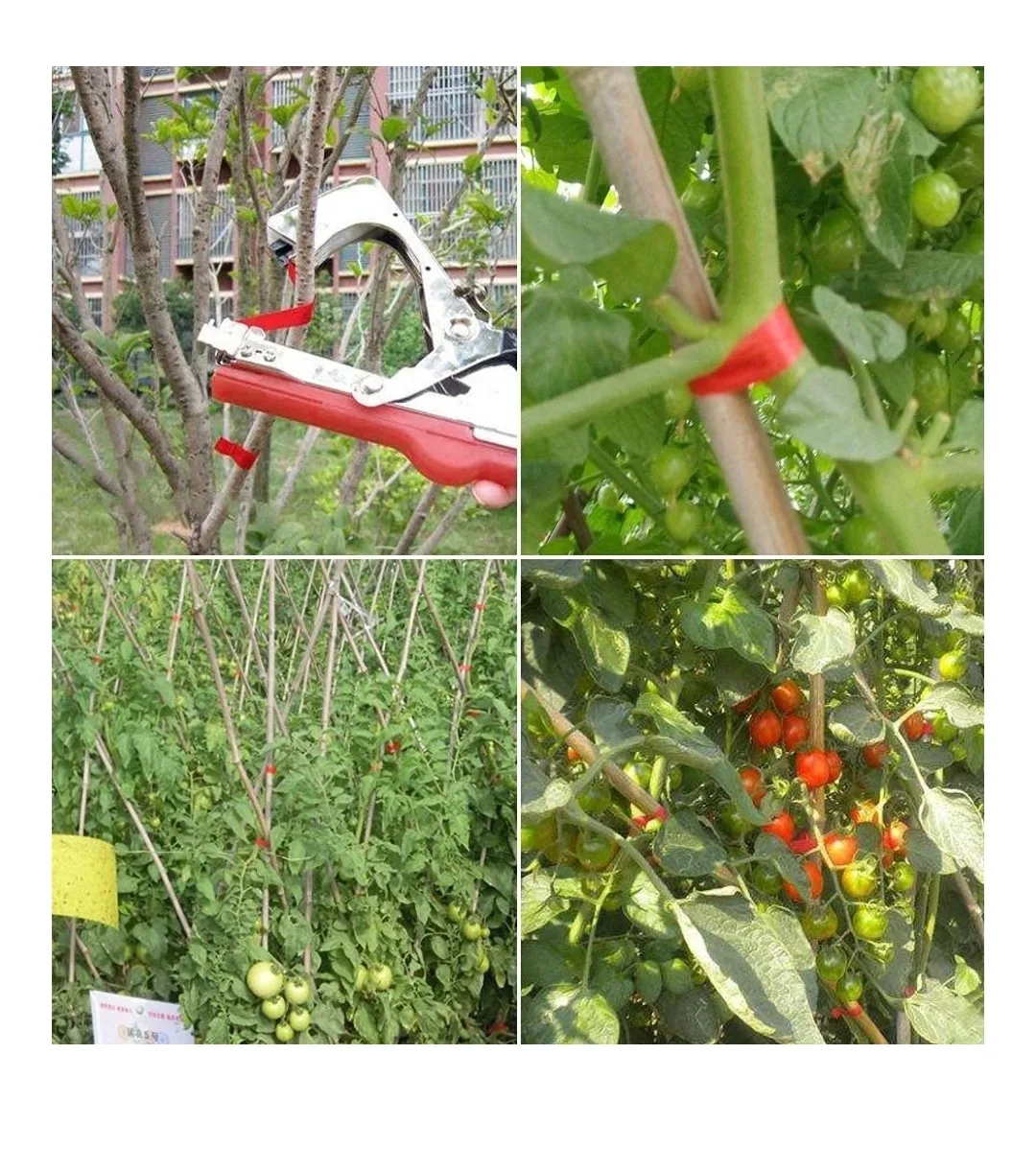 Plant Tying Machine image indicator(4)