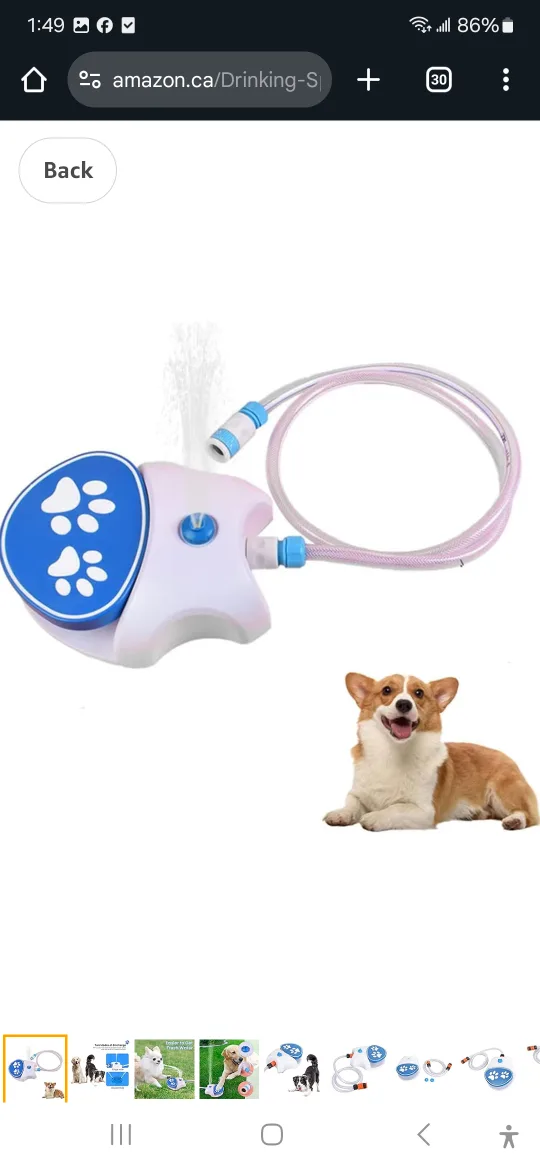Dog Drinking Water Fountain thumbnail