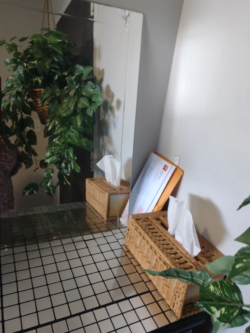 Hanging Artificial Pothos Plant ☘️ 🌴 tree image indicator(4)