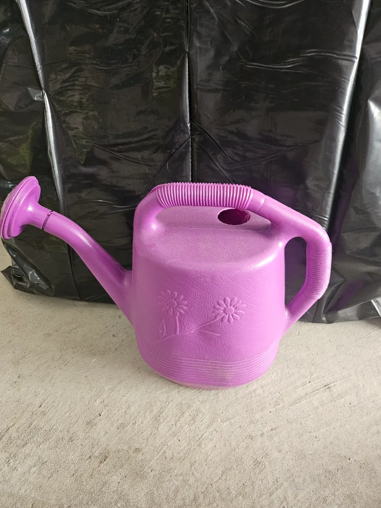 Purple Watering Can 🇨🇦 thumbnail