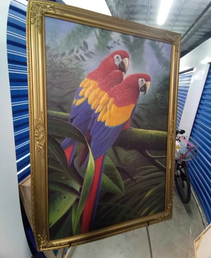 Parrot Print with Gold Frame & Touch Up Kit thumbnail