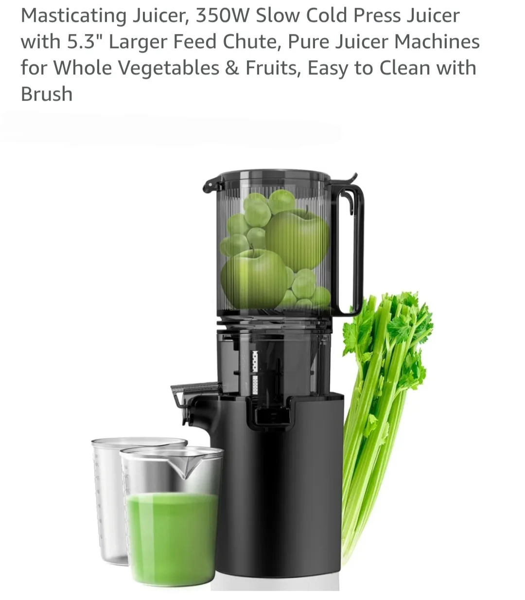 350W Slow Cold Press Juicer thumbnail