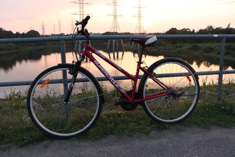 Adult hybrid commuter bicycle image indicator(8)