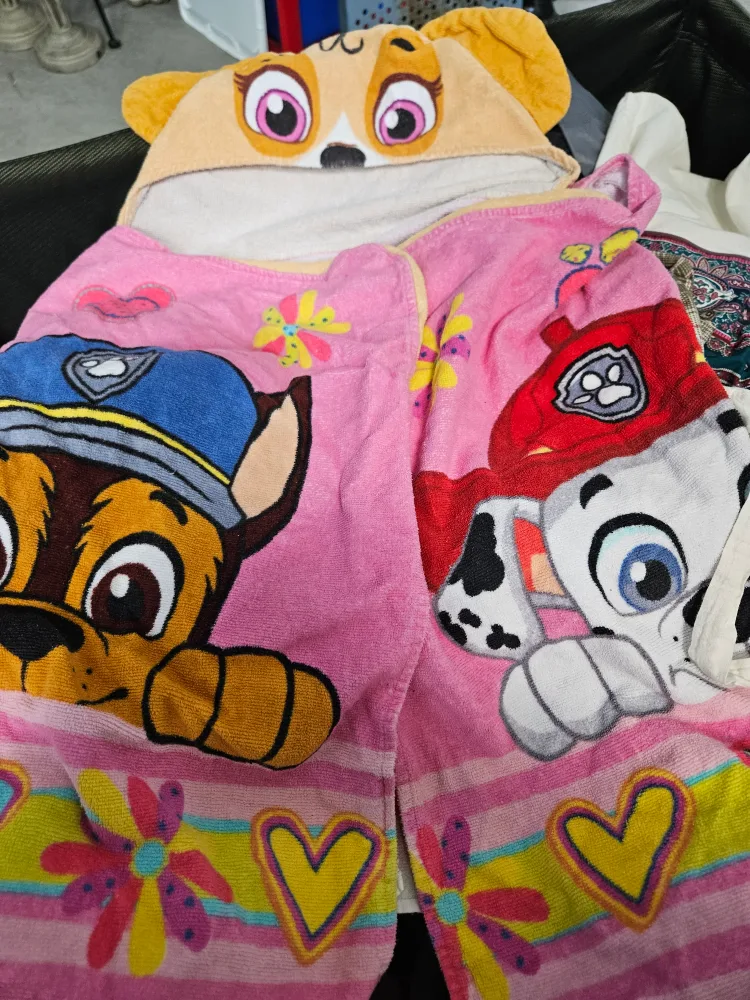 Paw Patrol Hooded Towel thumbnail