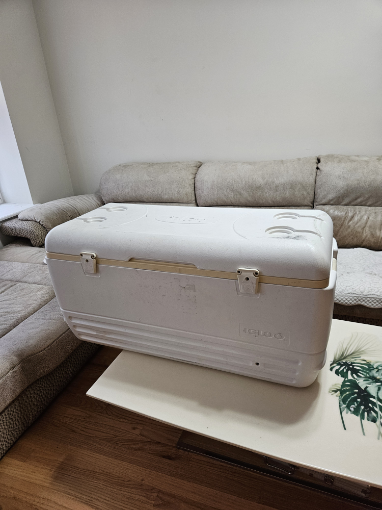 Igloo Cooler