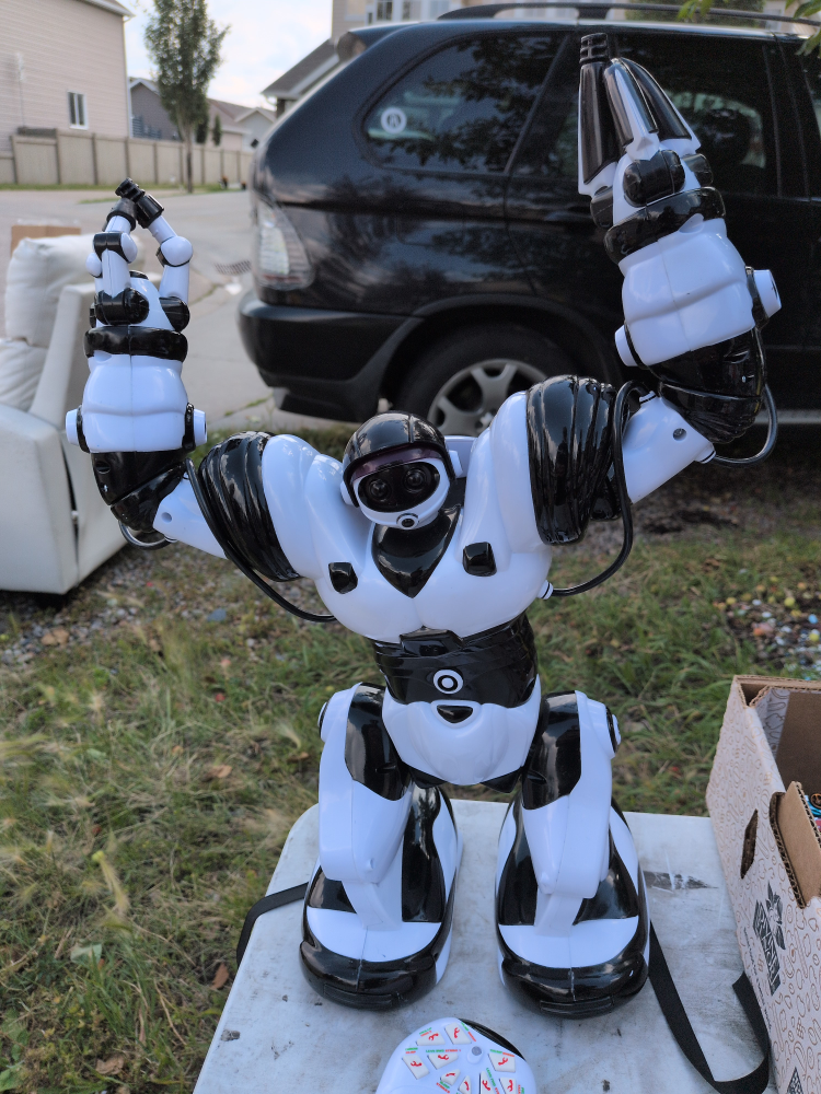 cool robot (large)