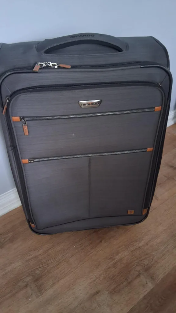 Ricardo Beverly Hills Gray Rolling Suitcase thumbnail