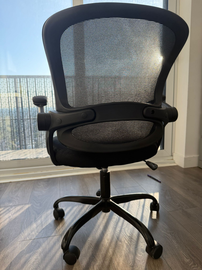 FelizKing Ergonomic Office Chair - photo 5