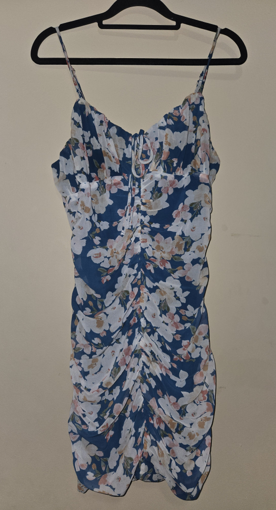 Floral Print Ruched Mini Dress - Blue & White