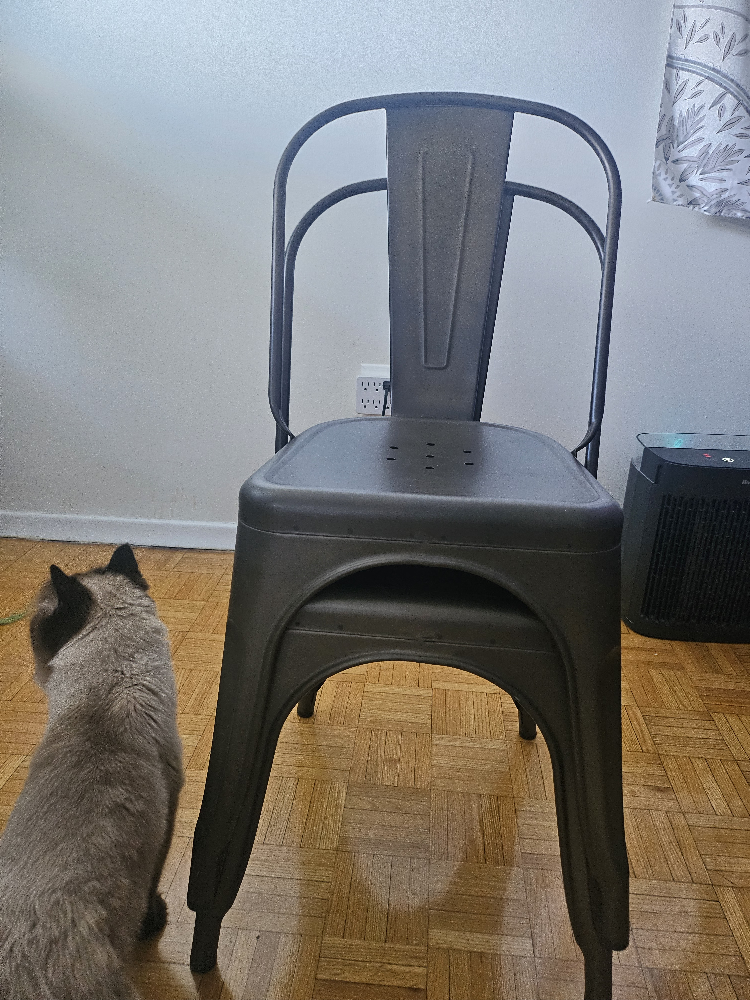 Structube Metal Chair