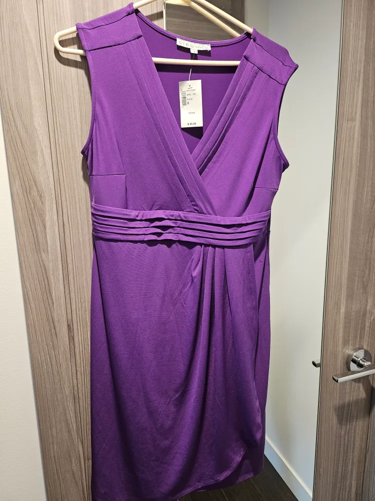 Cleo Purple Dress - Size 8 (Petite) 🇨🇦 thumbnail