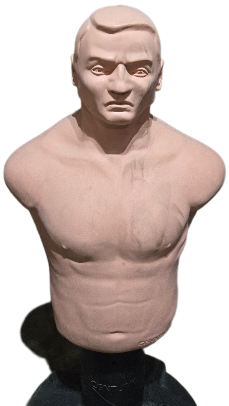 Century BOB Body Opponent Bag