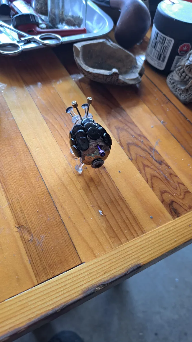 cork bug thumbnail