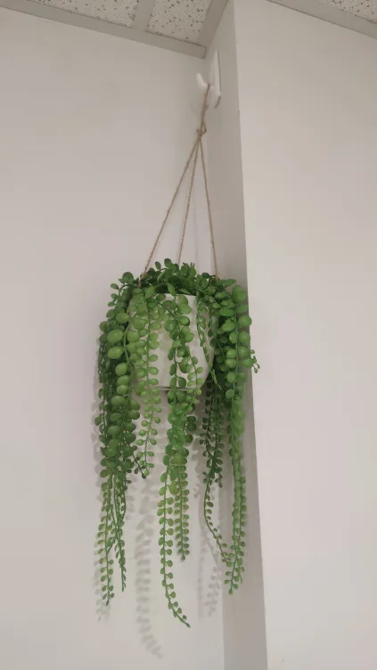 ✨Moving Sale✨ Faux String of Pearls Hanging Plant thumbnail