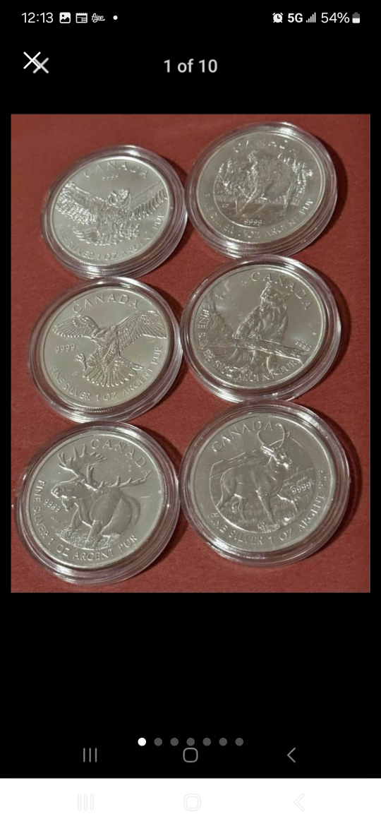 6x 1 oz Canadian Silver Coins Wildlife Maple Series .9999