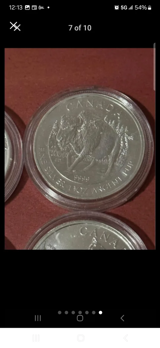 6x 1 oz Canadian Silver Coins Wildlife Maple Series .9999 image indicator(7)