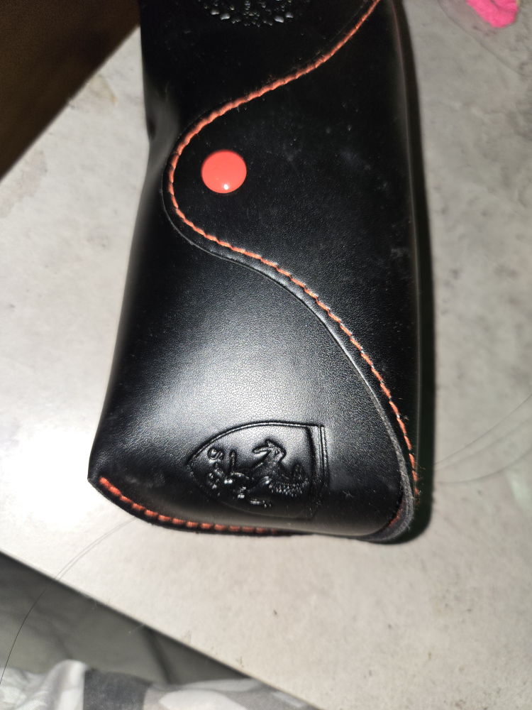 Ray-Ban Eyeglasses Case - photo 2