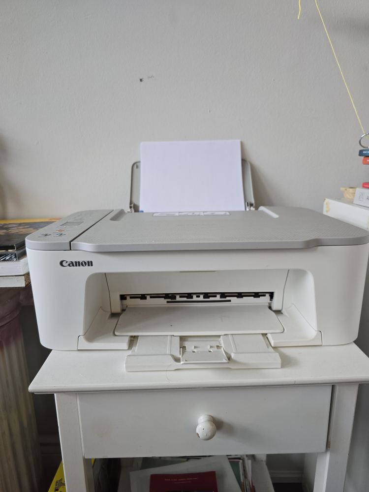 Canon PIXMA TS3420 All-in-One Printer
