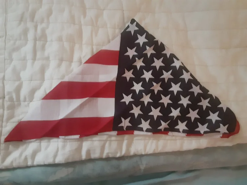 American Flag Bandana for Dog image indicator(3)