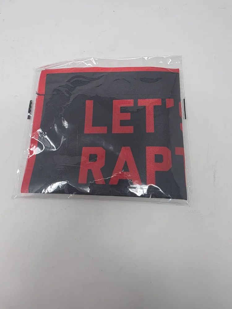 Toronto Raptors Pennant - Brand New 🇨🇦 thumbnail