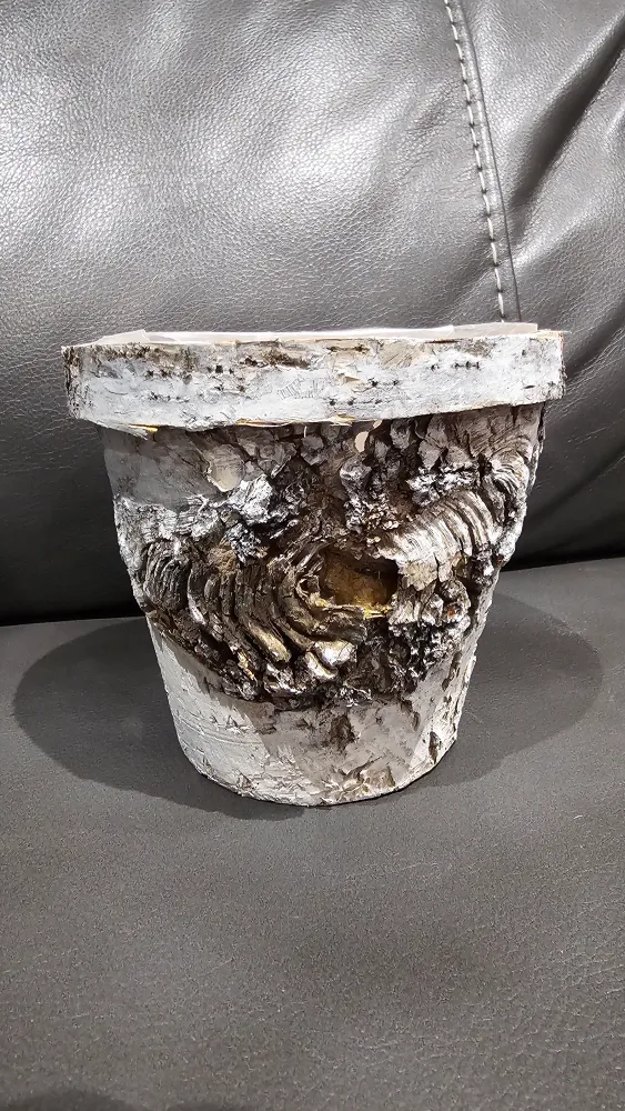 Birch Bark Planter thumbnail