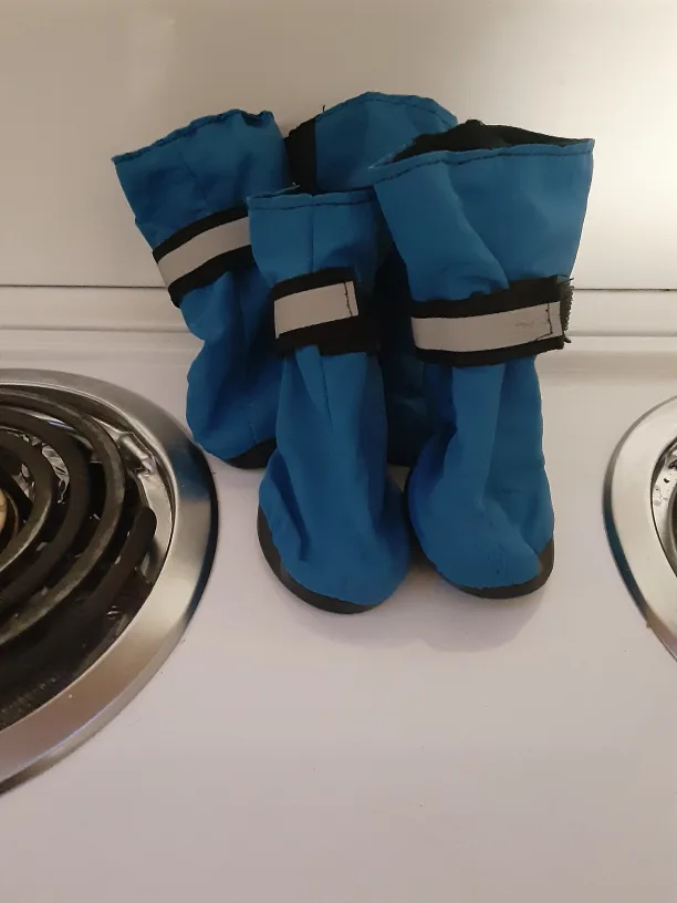 Blue Dog Boots thumbnail