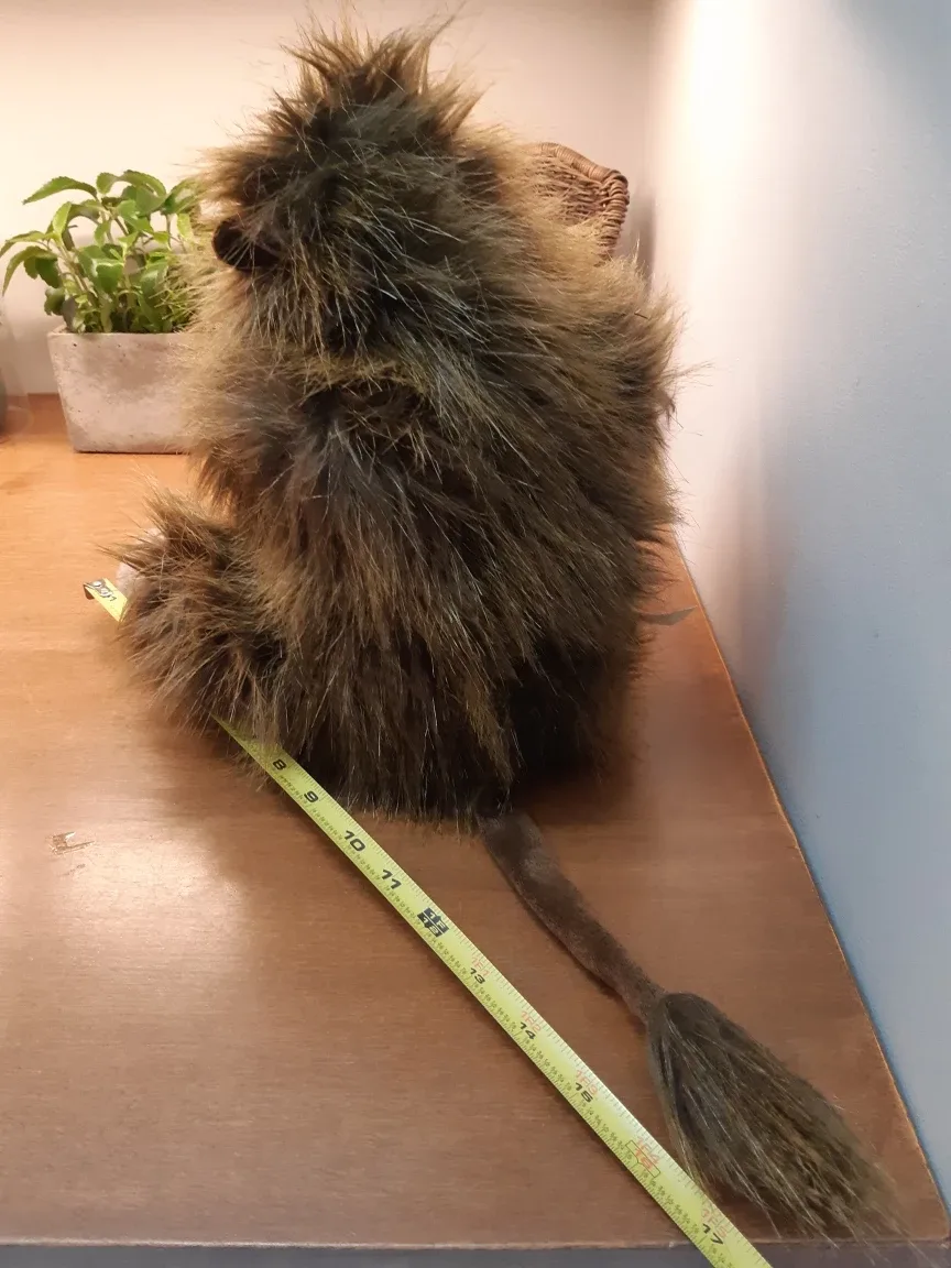 Folkmanis baboon hand puppet image indicator(6)