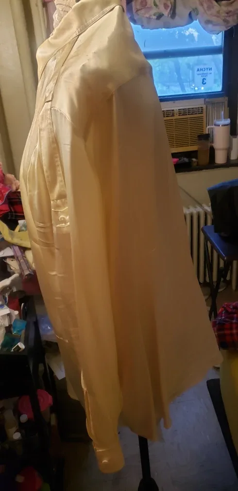 Satin Button-Down Shirt Tina Knowles thumbnail