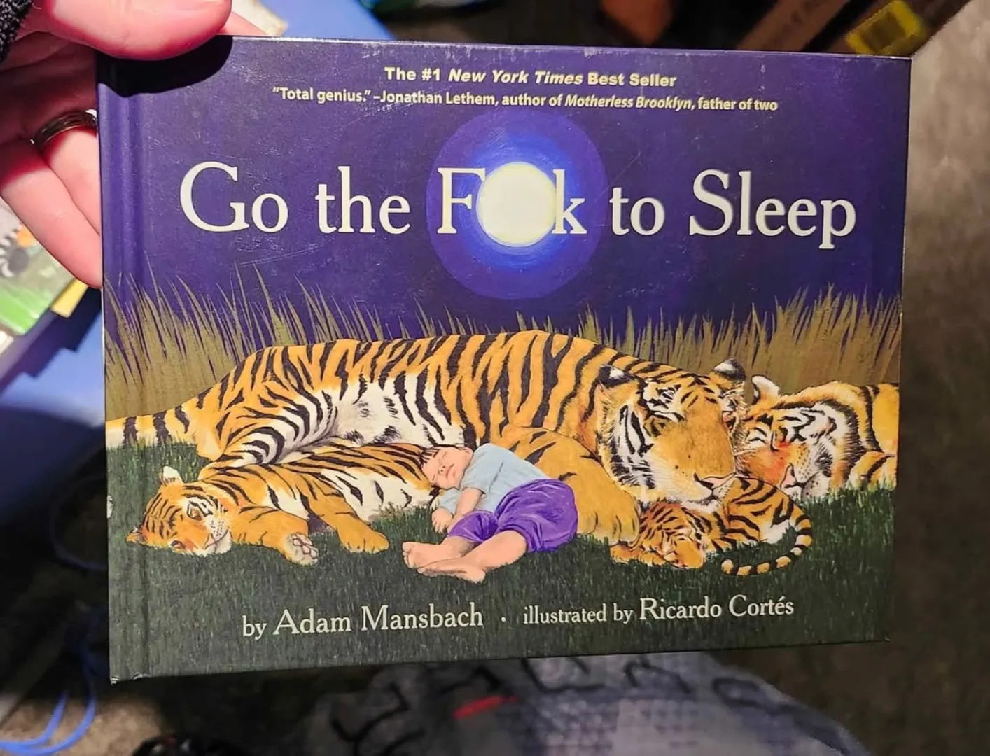 Go the F**k to Sleep by Adam Mansbach thumbnail