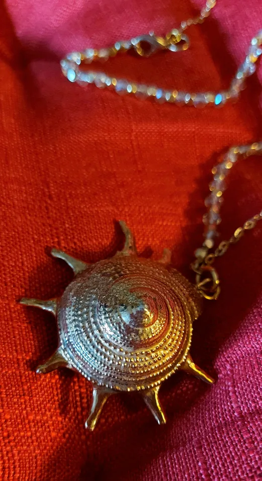Unique Shell Pendant Necklace image indicator(2)
