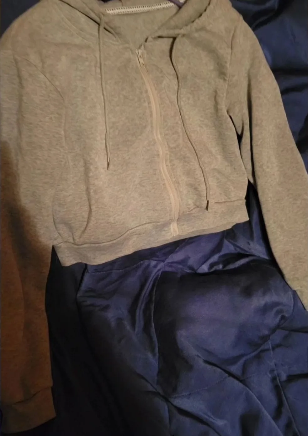 Gray Cropped Zip-Up Hoodie thumbnail