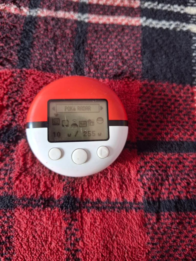 Pokémon Poké Radar NDS Game image indicator(2)