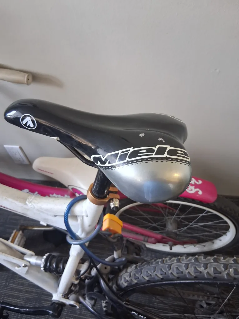 apex bicycle with a miles seat image indicator(2)