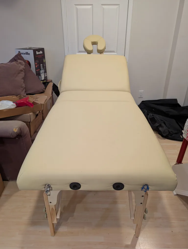 Portable Massage Table with Carrying Case thumbnail