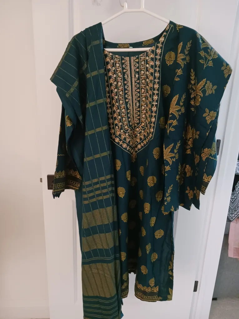 Green & Gold Embroidered Salwar Kameez image indicator(3)