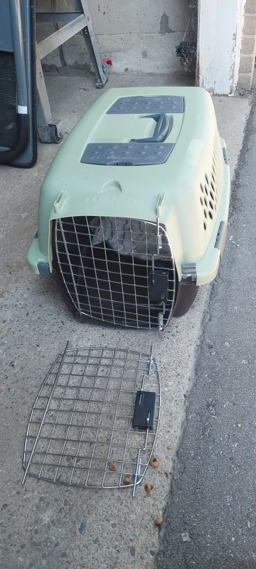 Petmate Pet Carrier Kennel thumbnail