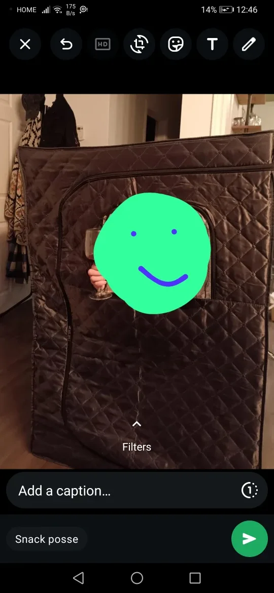 Portable Steam Sauna Box with Chair image indicator(3)