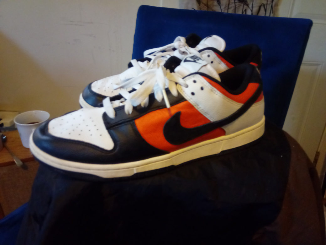 Nike Dunk Low Syracuse Shoes