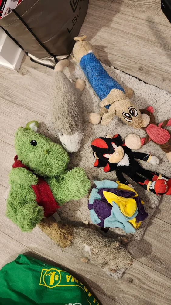 Assorted Plush Dog Toys thumbnail