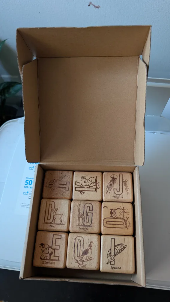 Paba Design Eco-Educational ABC Blocks thumbnail