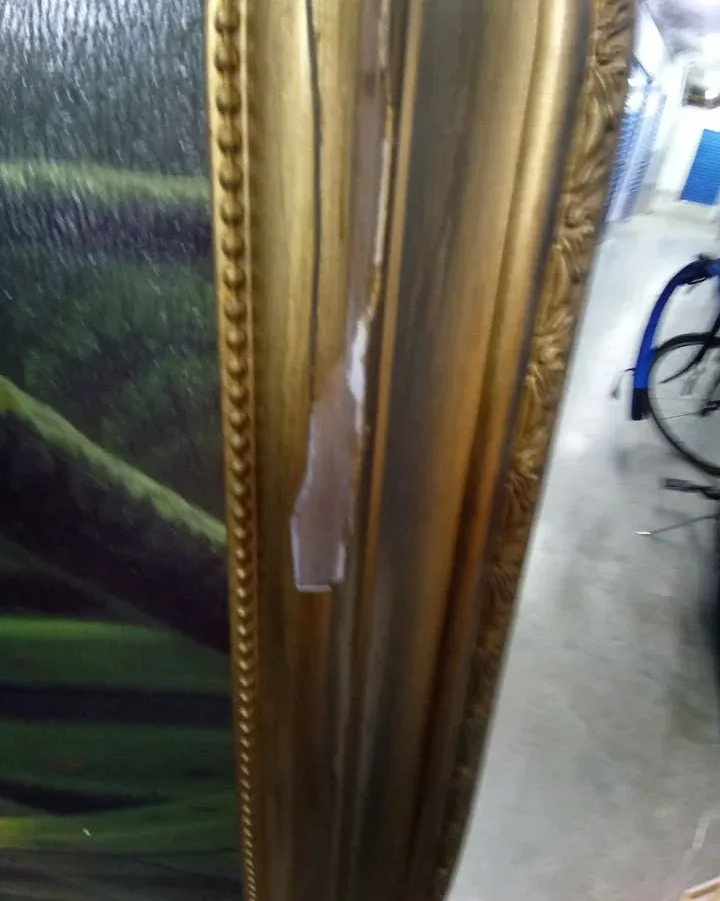 Parrot Print with Gold Frame & Touch Up Kit image indicator(4)