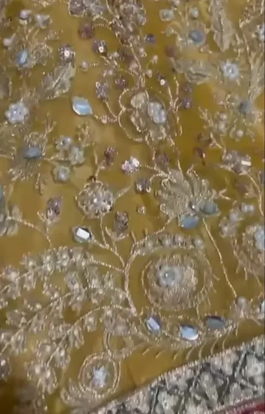 Gorgeous Yellow and Green Pakistani fancy dress image indicator(3)